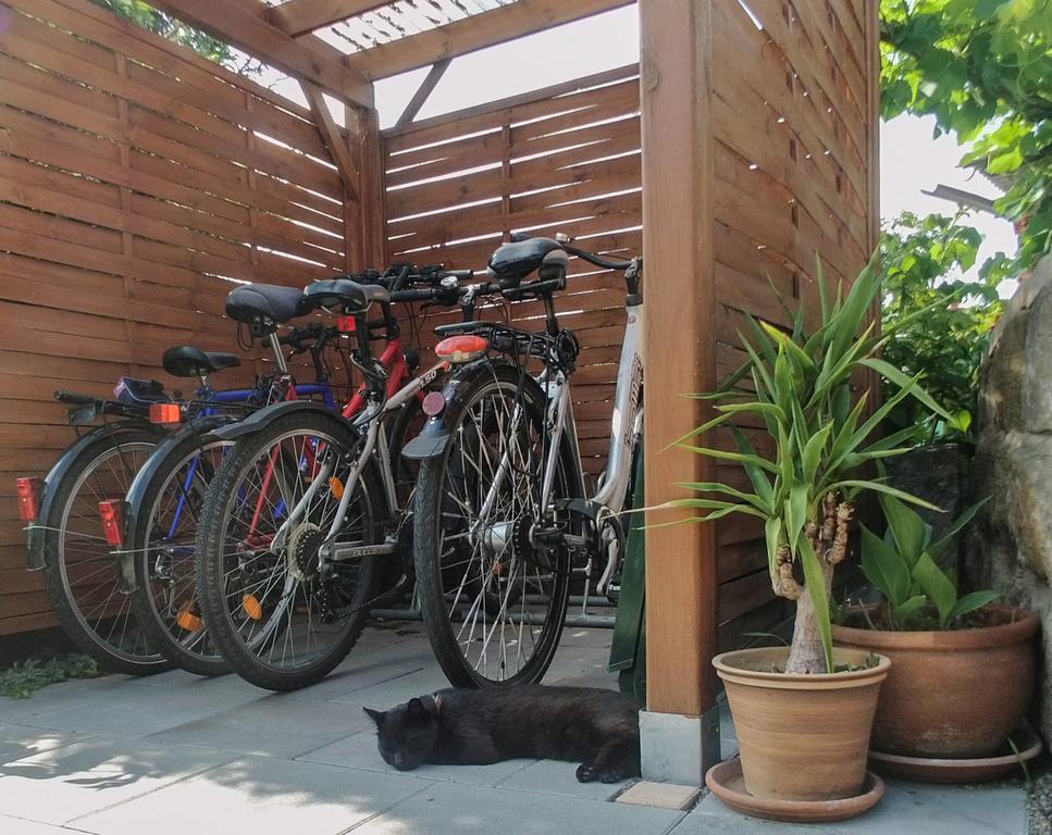 Ferienwohnung Am Elberadweg Dresden Eksteriør billede